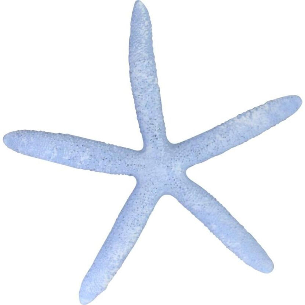 starfish - blue