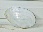 mother of pearl trinket box